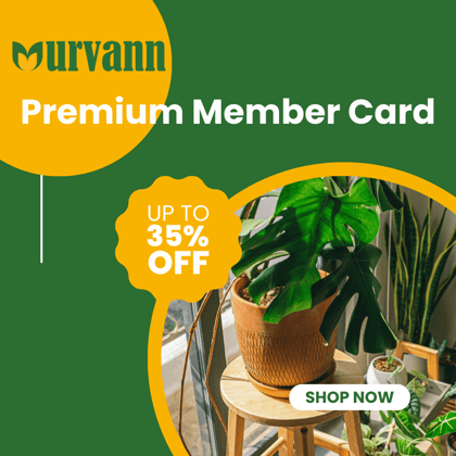 1 Year Urvann Premium Member Card- Get INR 500 loyalty points + Flat 20% off and 15% cashback on all orders