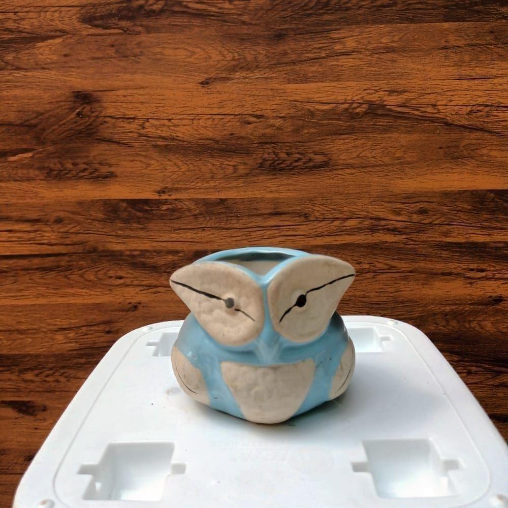3 Inch Cute Owl Designer Ceramic Pot (colour may vary)