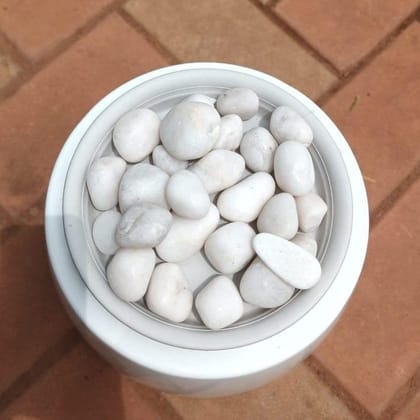 Buy Decorative White  Big Pebbles - 1 kg Online | Urvann.com