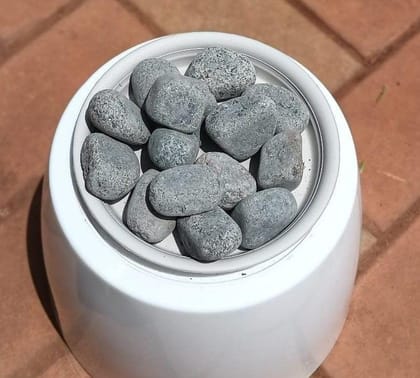 Buy Decorative Gray Big Pebbles - 1 kg Online | Urvann.com