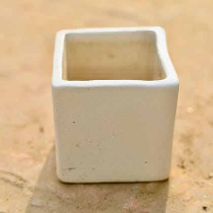Buy 3 Inch Classy White Square Ceramic Pot Online | Urvann.com