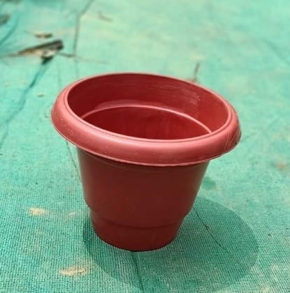 Buy 8 Inch Pot - Brown Plastic Planter Online | Urvann.com