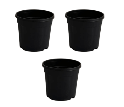 Buy Set of 3 - 8 Inch  Black Nursery Pot Online | Urvann.com