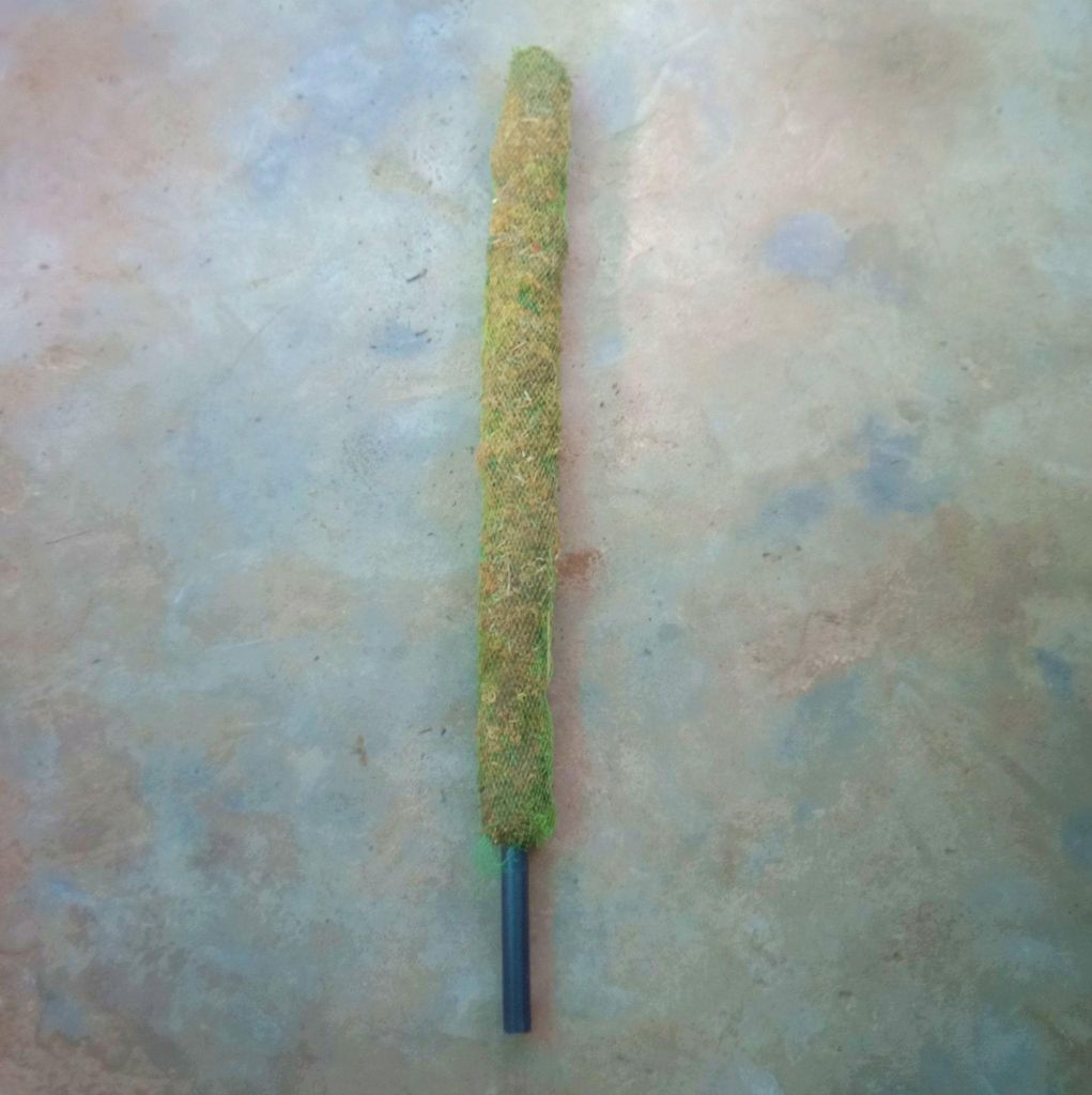 Moss Stick 2.5 Feet