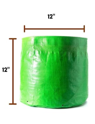 Buy Grow bags green 12X12 Online | Urvann.com