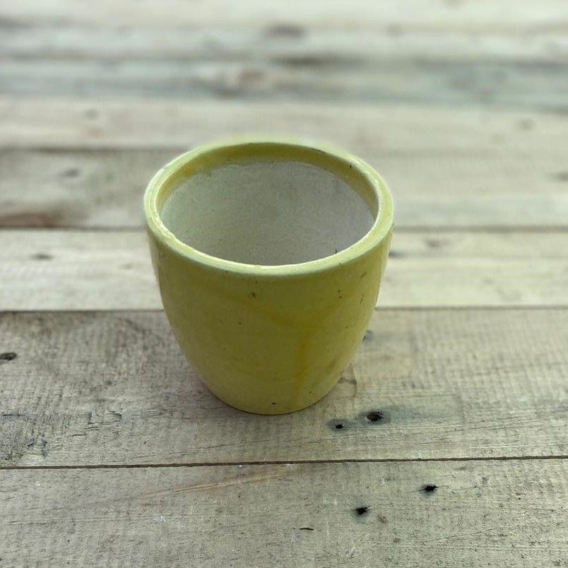 3 x 4 Inch Yellow Elegant Cup Ceramic Pot