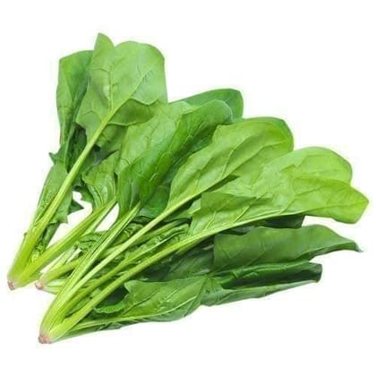 Buy Palak / Spinach Seeds - Excellent Germination Online | Urvann.com
