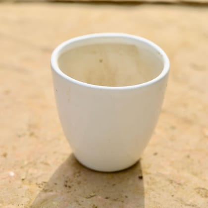 6 Inch White Cup Designer Moni Ceramic Pot