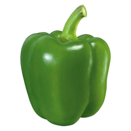 Buy Capsicum Seeds - Excellent Germination Online | Urvann.com