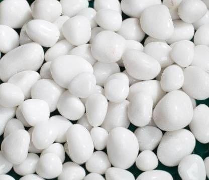 Buy Decorative White Pebbles - 1 Kg Online | Urvann.com