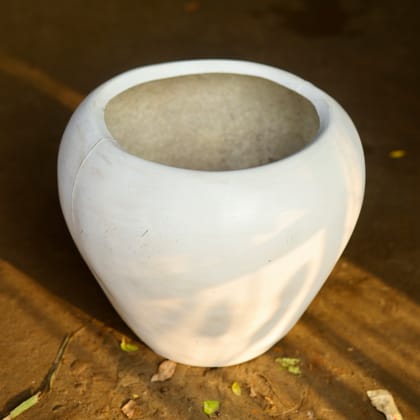 Buy 10 Inch White Classy Fiberglass Apple Pot Online | Urvann.com