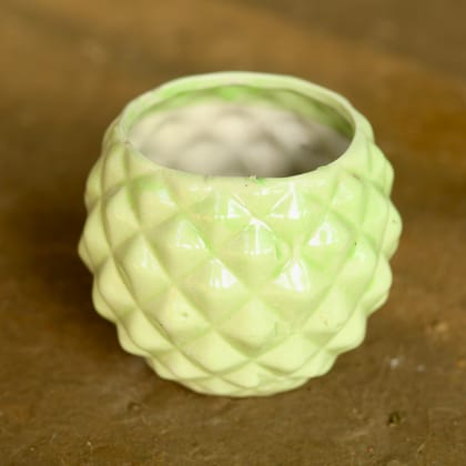 Buy 5 Inch Cute Diamond Designer Ceramic Pot (any colour) Online | Urvann.com