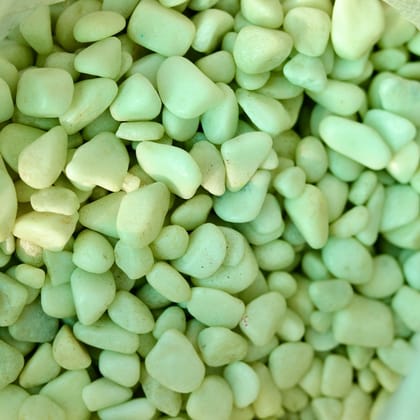Buy Decorative Medium Green Pebbles - 1 Kg Online | Urvann.com