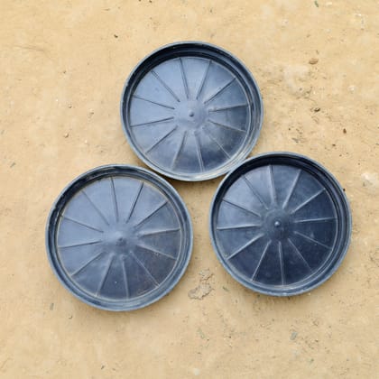 Buy Set of 3 - 6 Inch Black Plastic Tray - To keep Under the Pot Online | Urvann.com