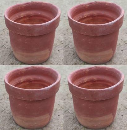 Buy Set of 6 - 4 inch Terracotta Cup Planter Online | Urvann.com