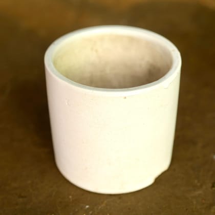 Buy 4 Inch White Classy Cylindrical Ceramic Pot Online | Urvann.com