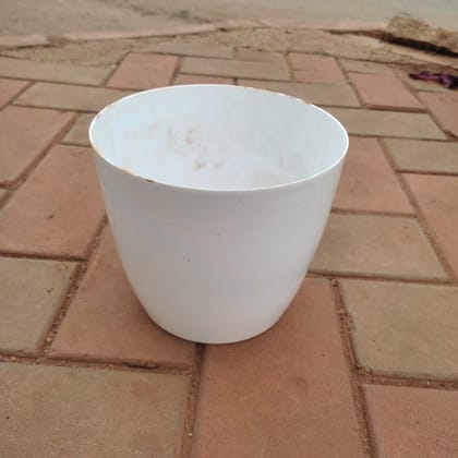 Buy 7 Inch White Elegant Plastic Pot Online | Urvann.com