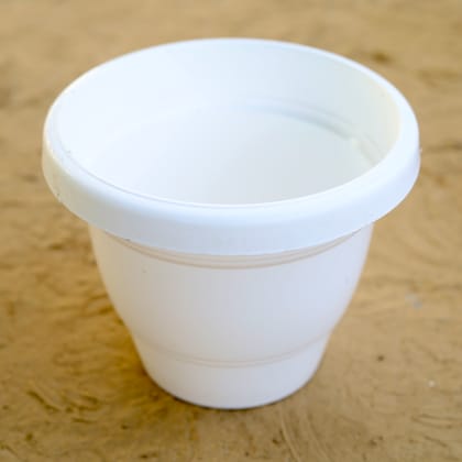 Buy 8 Inch Classy White Plastic Pot Online | Urvann.com