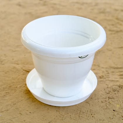 Buy 10 Inch Classy White Plastic Pot with Tray Online | Urvann.com