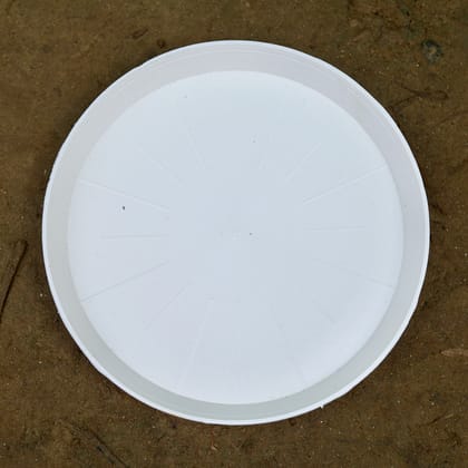 Buy 6 Inch White Plastic Tray / Plate - To Keep Under the Pot Online | Urvann.com