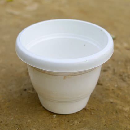 Buy 8 Inch Classy White Plastic Pot Online | Urvann.com