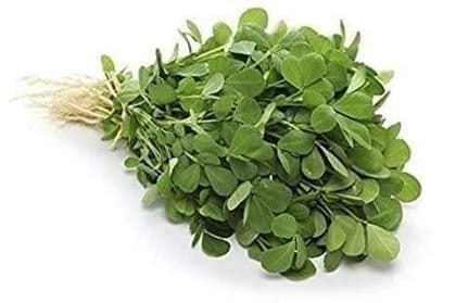 Buy Fenugreek / Methi Seeds - Excellent Germination Online | Urvann.com