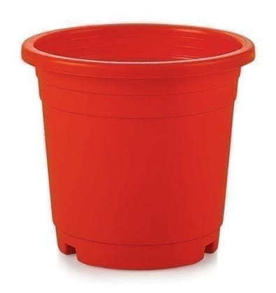 Buy 12 Inch Red Plastic Nursery Pot Online | Urvann.com
