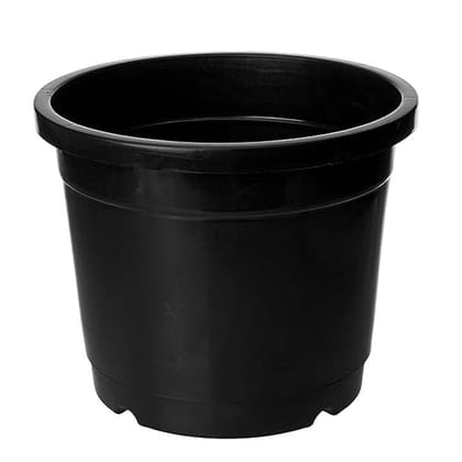 Buy 10 Inch Black Plastic Nursery Pot Online | Urvann.com