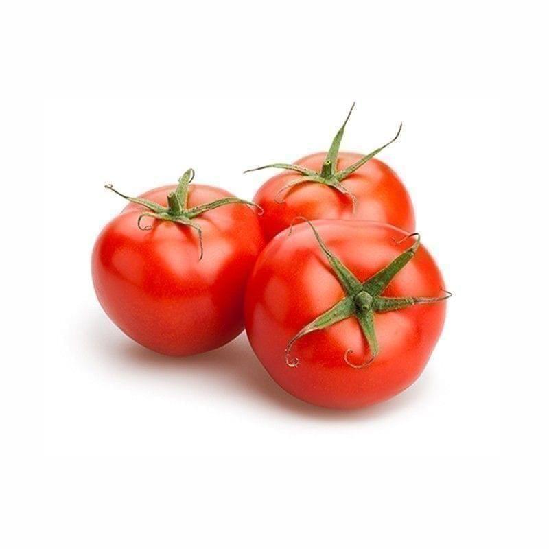 Tomato Seeds - Excellent Germination