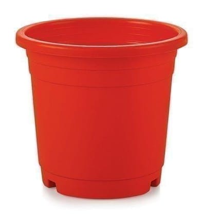 Buy 6 Inch Red Plastic Nursery Pot Online | Urvann.com