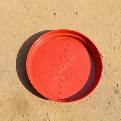 Buy 6 Inch Red Plastic Tray / Plate - To Keep Under the Pot Online | Urvann.com