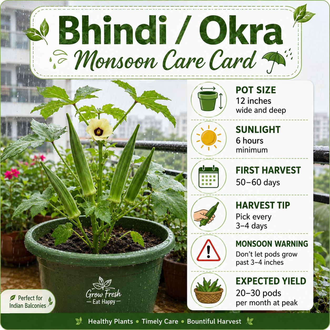 Bhindi (Okra / Lady Finger / भिंडी) Healthy bhindi plant monsoon care card