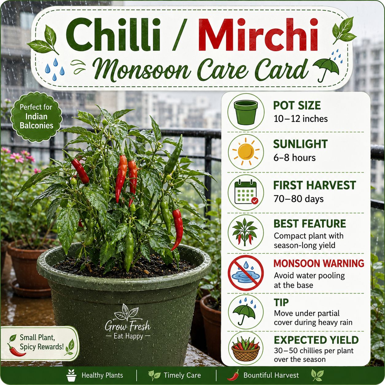 Green chilli plant Green chilli plant monsoon care card