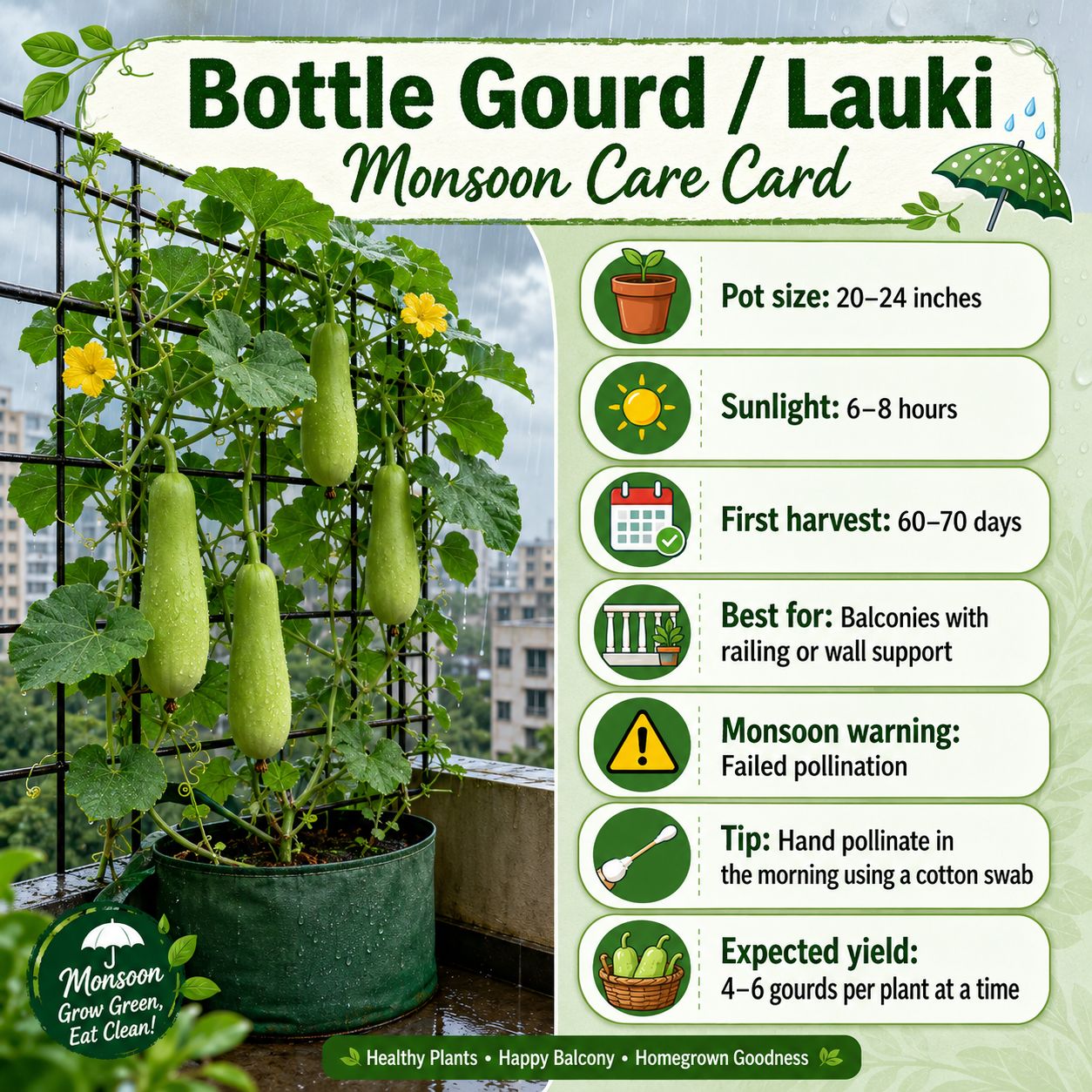 Bottle Gourd (Lauki / लौकी) Bottle gourd monsoon care card