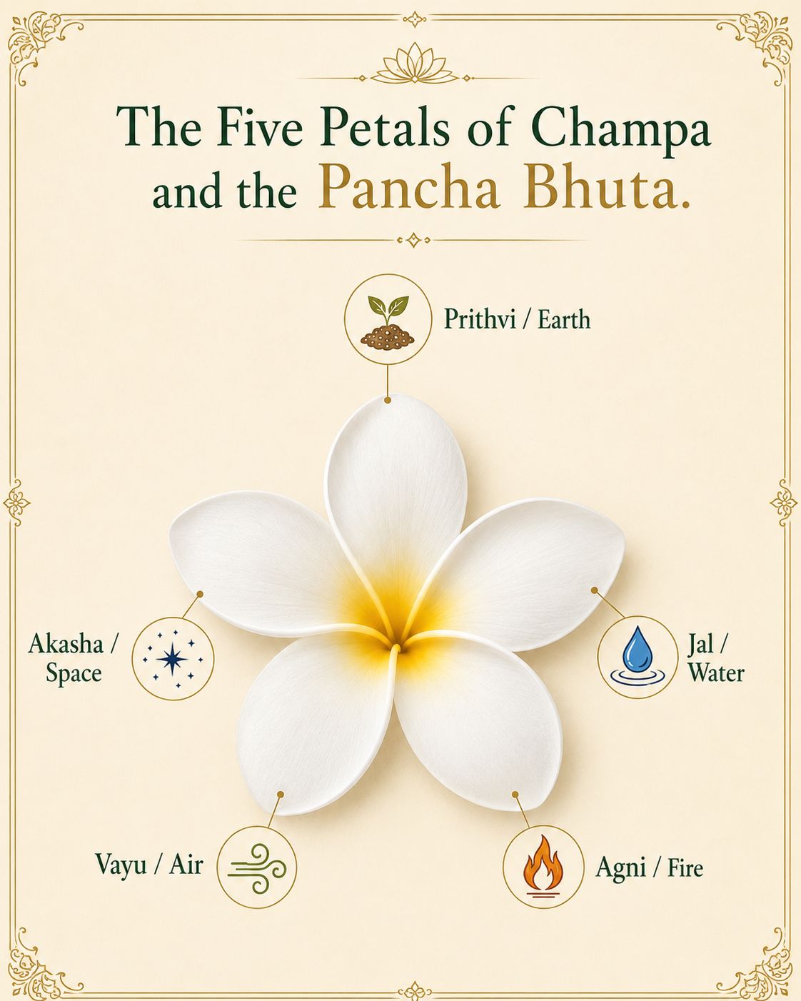 The Five Petals of Champa and the Pancha Bhuta. Single Plumeria Flower Represents the Entire Universe
