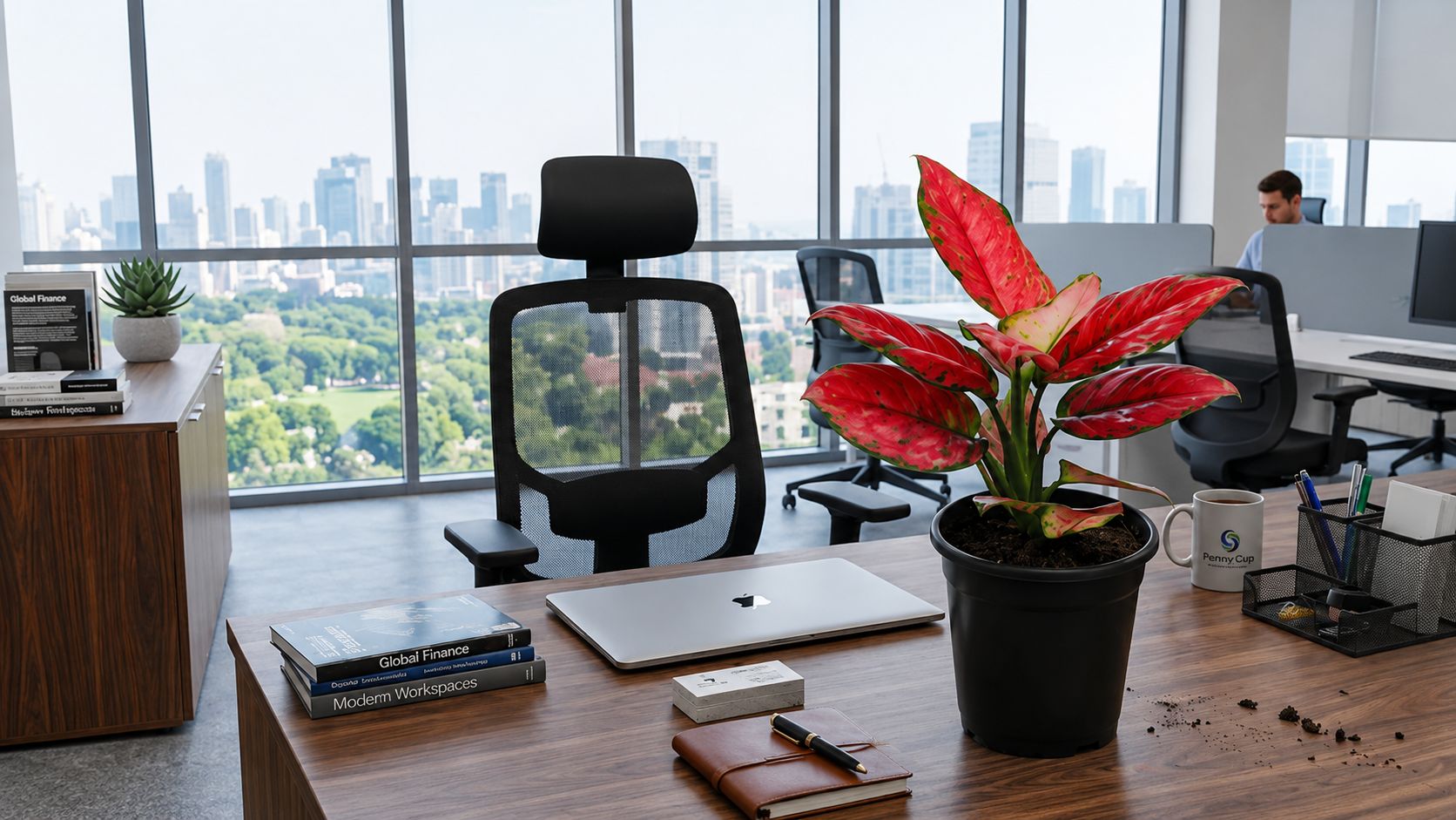 Aglaonema