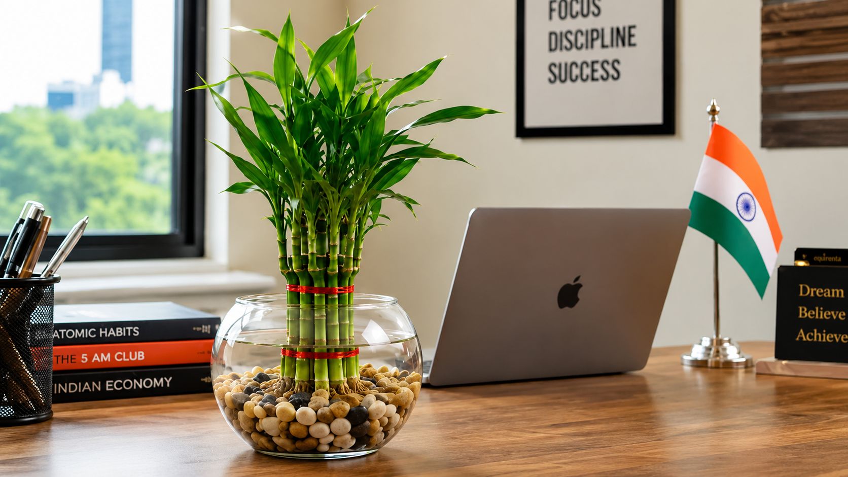 Lucky Bamboo