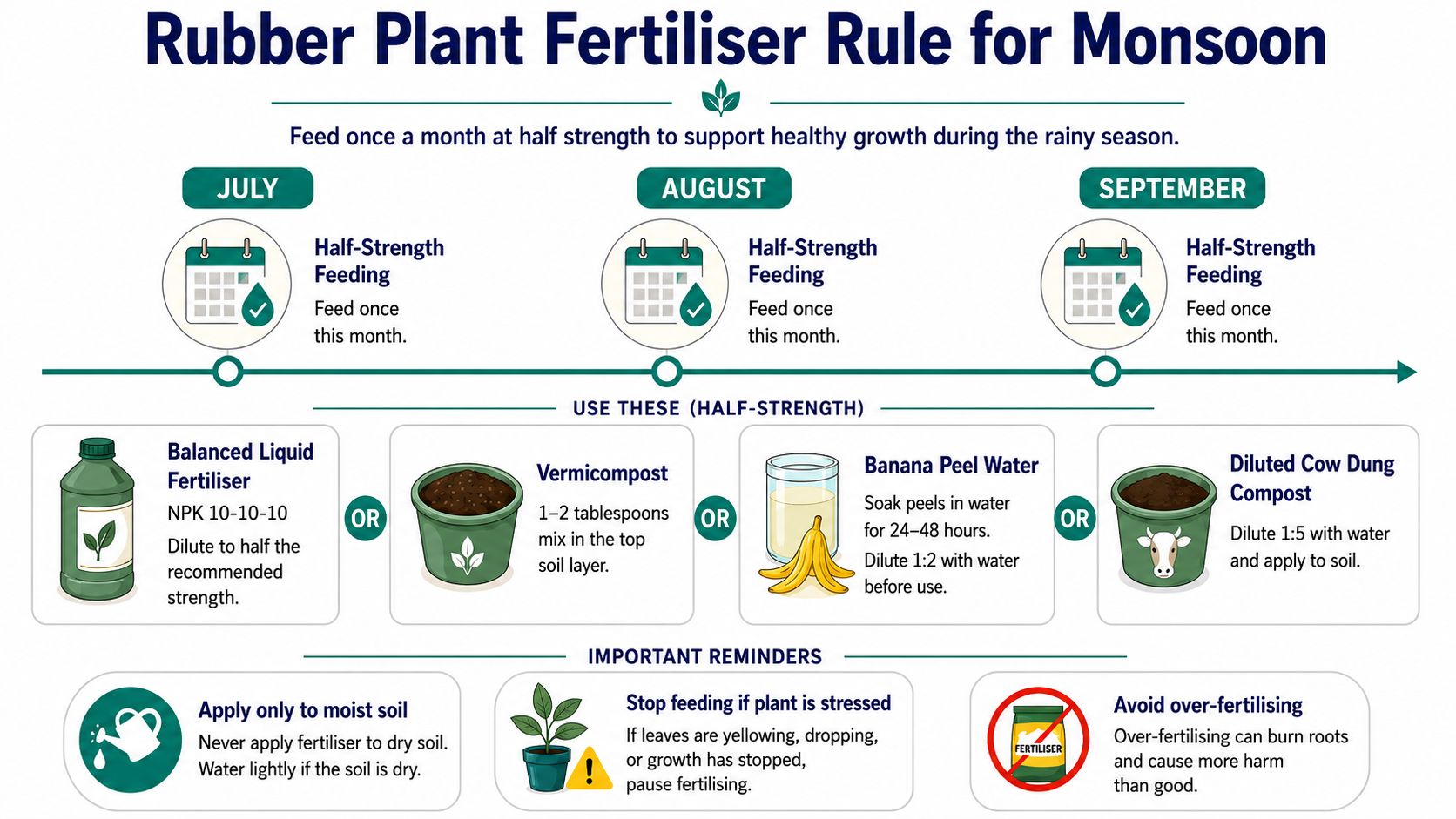 Rubber plant fertiliser rule for monsoon Fertilising During Monsoon (How Much and How Often)