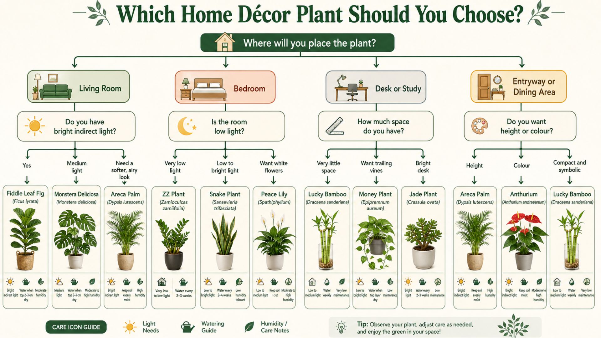 Which Home Decor Plant Should You Choose?
