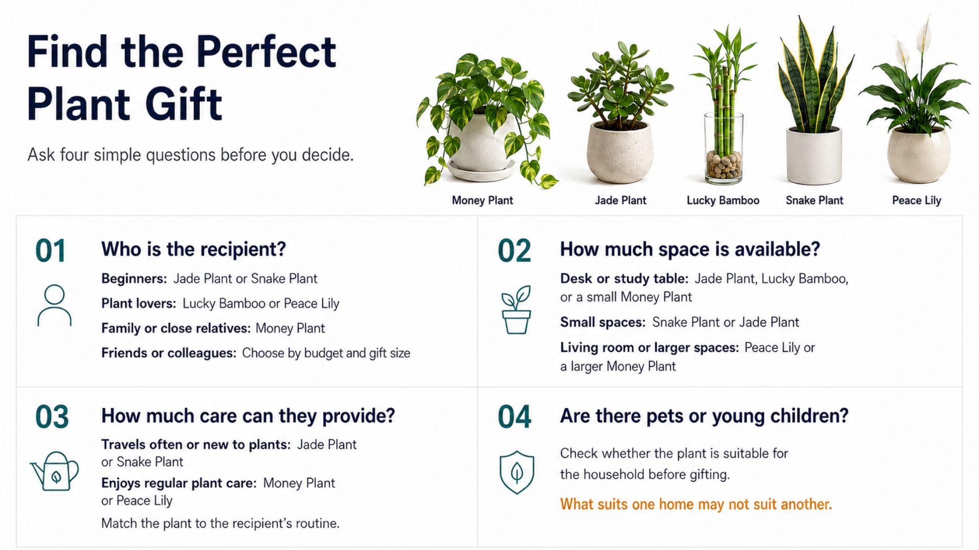 How to Choose the Right Plant Gift