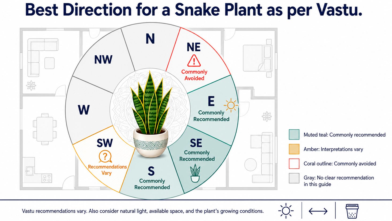Best Direction for a Snake Plant as per Vastu