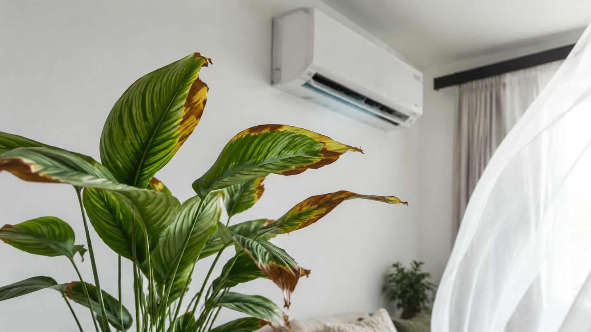 Dry Indoor Air and Drafts
