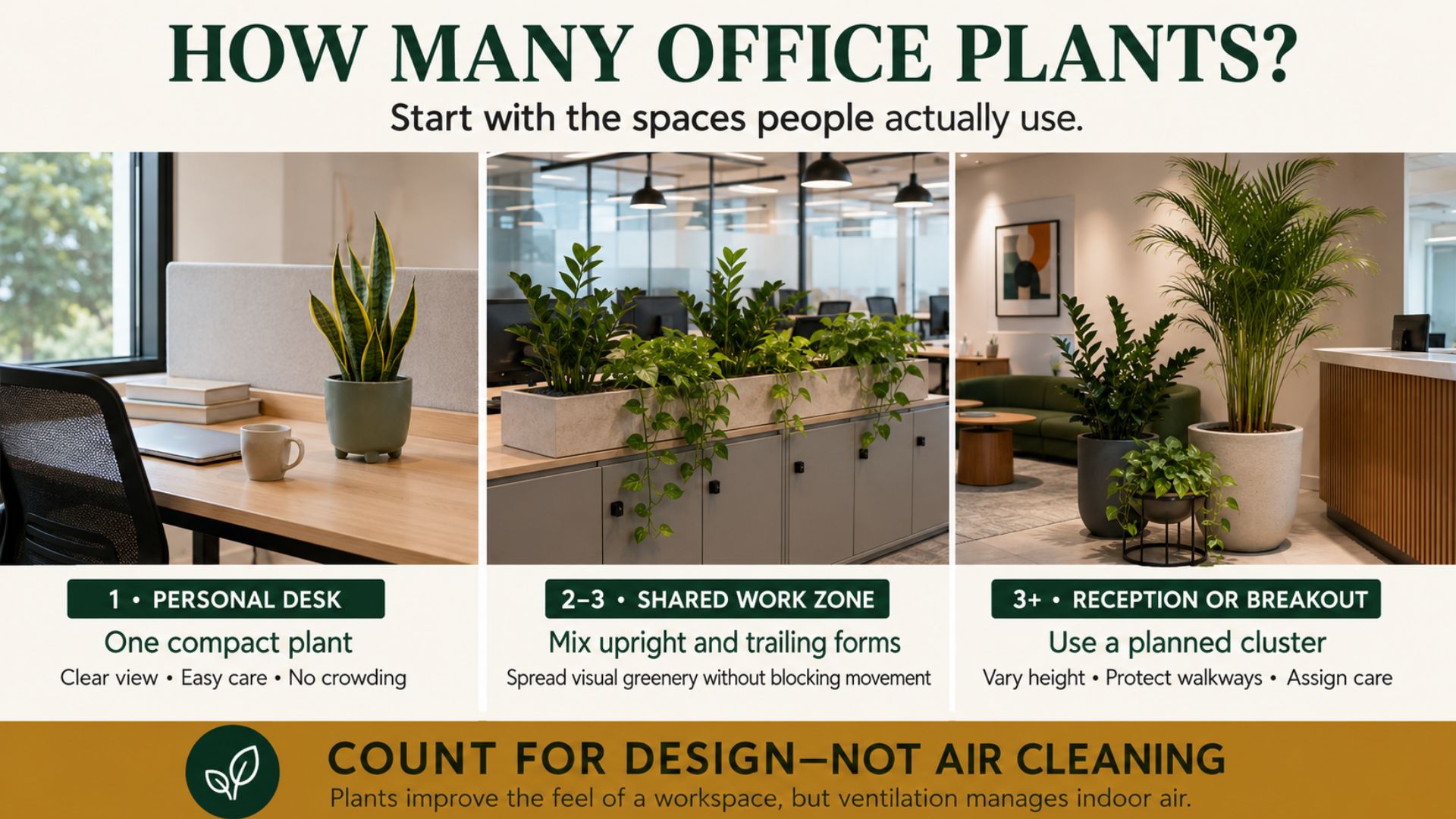 How Many Plants Do You Need in an Office?