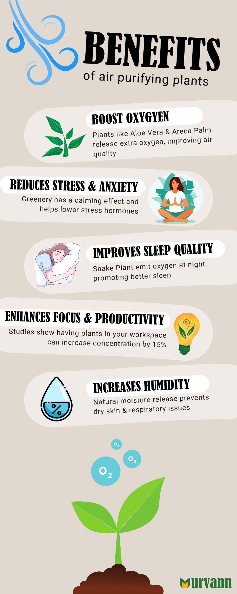 Nature's Air Filters: Top 5 Indoor Plants for a Healthier Home