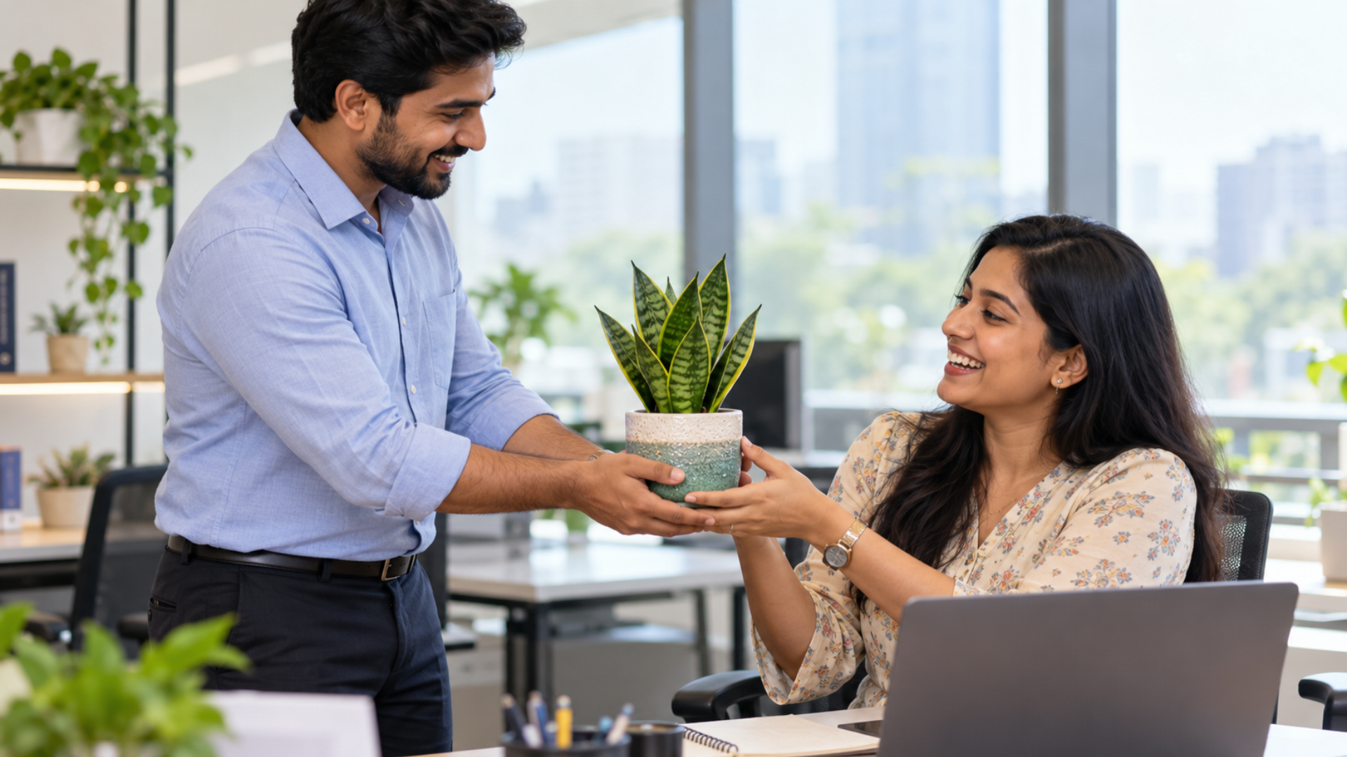 Colleague receives dwarf snake plant gift