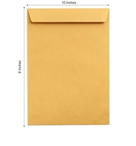 Laminated envelope 8�10