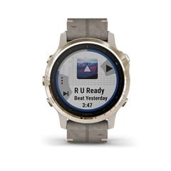 Garmin Fenix 6S, silicone band Smartwatch