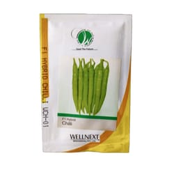 Chilli Seeds