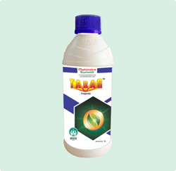 Tarar