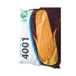 Maize Seed- 4001 (VNR)